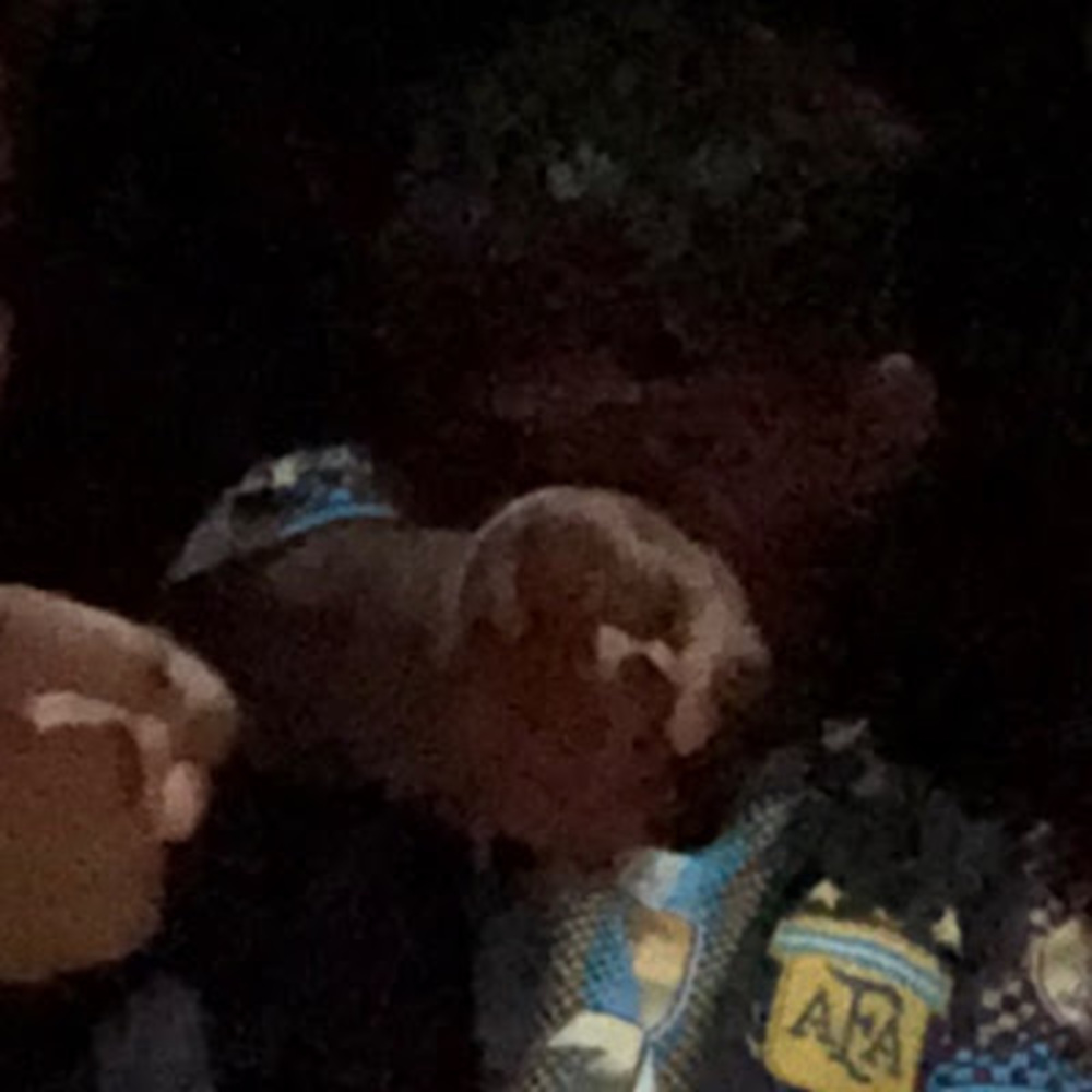 Meet your Posher, Danette